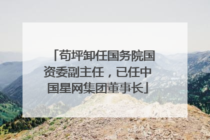 苟坪卸任国务院国资委副主任，已任中国星网集团董事长