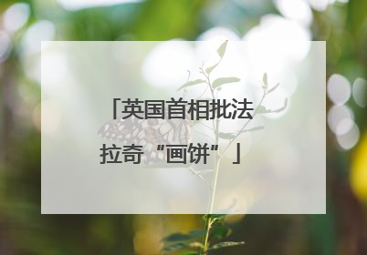 英国首相批法拉奇“画饼”