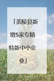 茶陵县新增5家专精特新中小企业