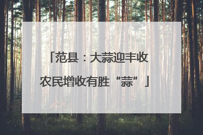 范县：大蒜迎丰收 农民增收有胜“蒜”