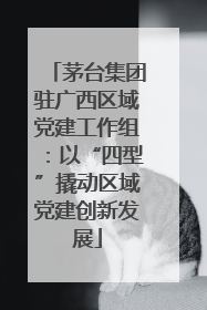 茅台集团驻广西区域党建工作组：以“四型”撬动区域党建创新发展
