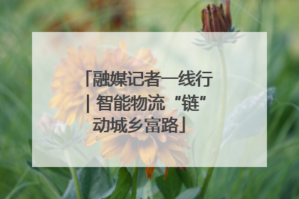 融媒记者一线行｜智能物流“链”动城乡富路