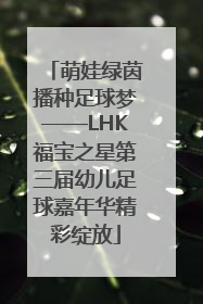 萌娃绿茵播种足球梦——LHK福宝之星第三届幼儿足球嘉年华精彩绽放