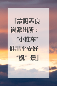 蒙阴孟良崮派出所：“小推车”推出平安好“枫”景