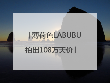 薄荷色LABUBU拍出108万天价