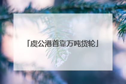 虞公港首靠万吨货轮