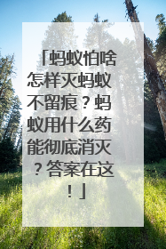 蚂蚁怕啥怎样灭蚂蚁不留痕？蚂蚁用什么药能彻底消灭？答案在这！