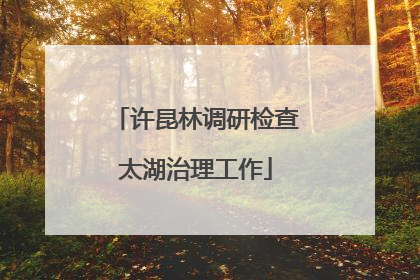 许昆林调研检查太湖治理工作