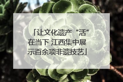 让文化遗产“活”在当下 江西集中展示百余项非遗技艺