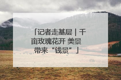 记者走基层｜千亩玫瑰花开 美景带来“钱景”