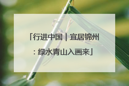 行进中国｜宜居锦州：绿水青山入画来