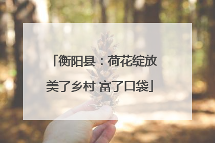 衡阳县：荷花绽放 美了乡村 富了口袋