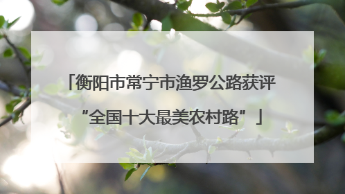 衡阳市常宁市渔罗公路获评“全国十大最美农村路”