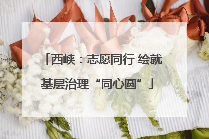 西峡：志愿同行 绘就基层治理“同心圆”