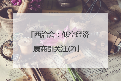 西洽会：低空经济展商引关注(2)