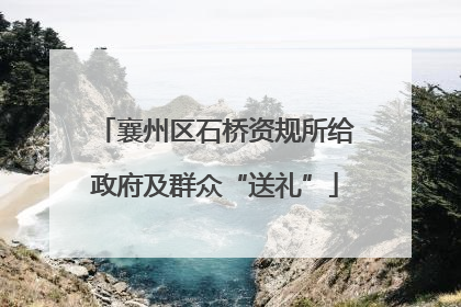 襄州区石桥资规所给政府及群众“送礼”