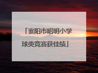 襄阳市昭明小学球类竞赛获佳绩