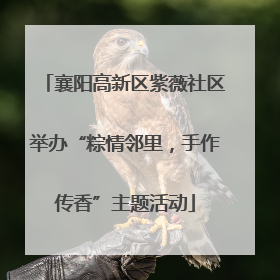 襄阳高新区紫薇社区举办“粽情邻里，手作传香”主题活动