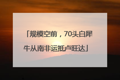 规模空前，70头白犀牛从南非运抵卢旺达