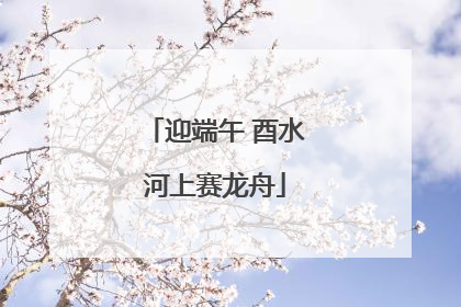 迎端午 酉水河上赛龙舟