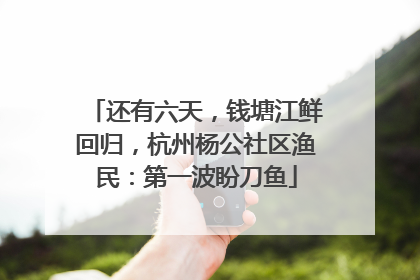 还有六天，钱塘江鲜回归，杭州杨公社区渔民：第一波盼刀鱼