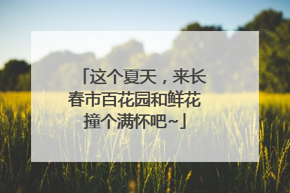 这个夏天，来长春市百花园和鲜花撞个满怀吧~