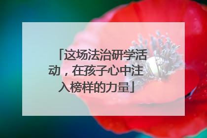 这场法治研学活动，在孩子心中注入榜样的力量