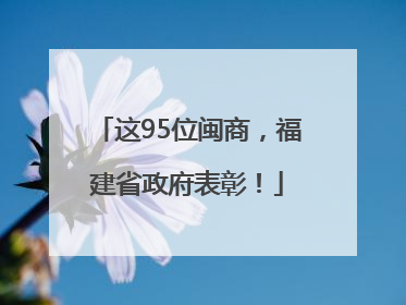 这95位闽商，福建省政府表彰！