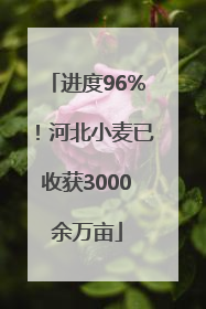 进度96%！河北小麦已收获3000余万亩