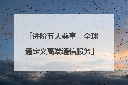 进阶五大尊享，全球通定义高端通信服务