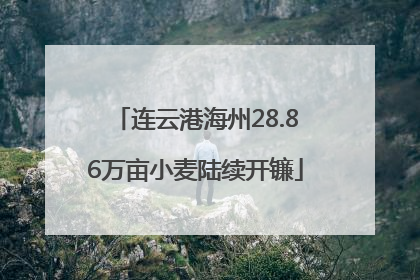 连云港海州28.86万亩小麦陆续开镰