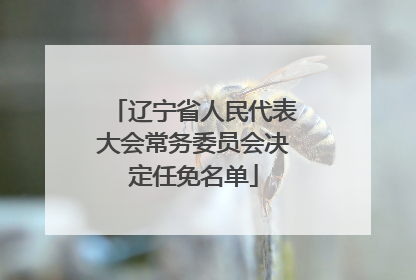 辽宁省人民代表大会常务委员会决定任免名单