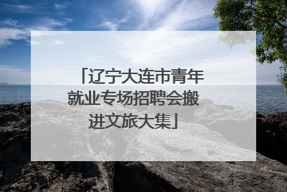 辽宁大连市青年就业专场招聘会搬进文旅大集