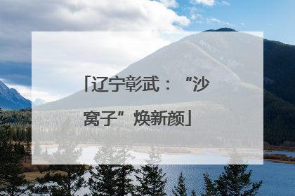 辽宁彰武：“沙窝子”焕新颜