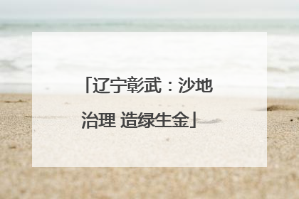 辽宁彰武：沙地治理 造绿生金