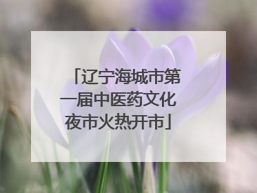 辽宁海城市第一届中医药文化夜市火热开市