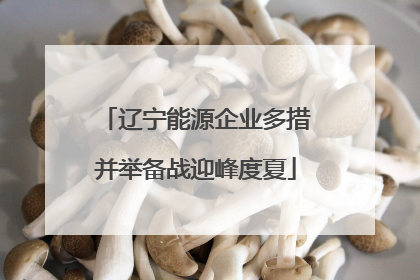 辽宁能源企业多措并举备战迎峰度夏