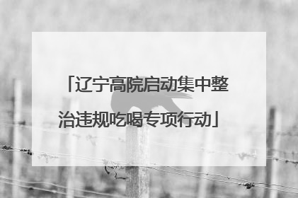 辽宁高院启动集中整治违规吃喝专项行动