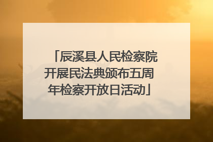 辰溪县人民检察院开展民法典颁布五周年检察开放日活动