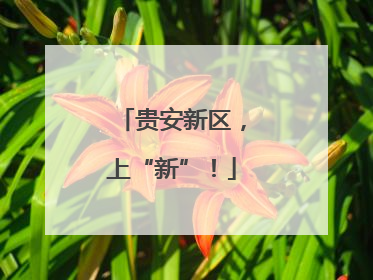 贵安新区，上“新”！
