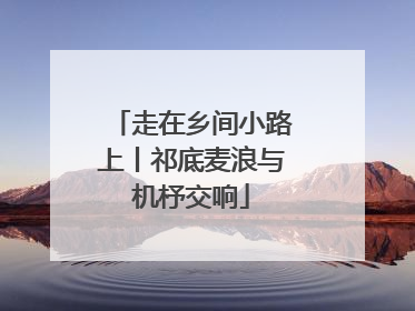 走在乡间小路上丨祁底麦浪与机杼交响