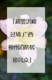 超警洪峰过境 广西柳州消防转移民众