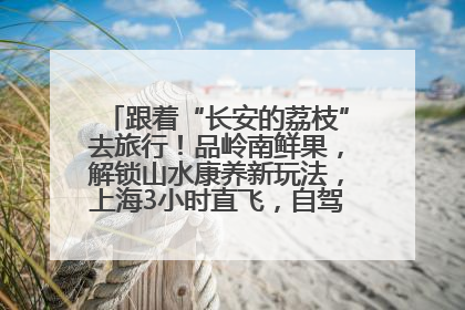 跟着“长安的荔枝”去旅行！品岭南鲜果，解锁山水康养新玩法，上海3小时直飞，自驾高速费优惠