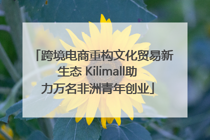 跨境电商重构文化贸易新生态 Kilimall助力万名非洲青年创业