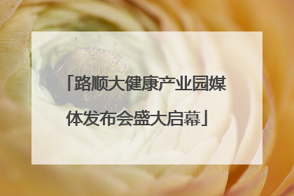路顺大健康产业园媒体发布会盛大启幕