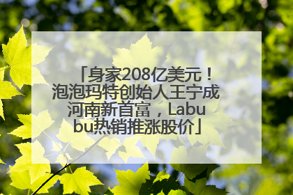 身家208亿美元！泡泡玛特创始人王宁成河南新首富，Labubu热销推涨股价