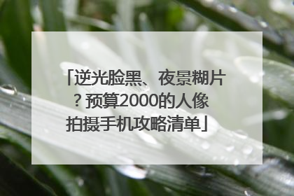 逆光脸黑、夜景糊片？预算2000的人像拍摄手机攻略清单