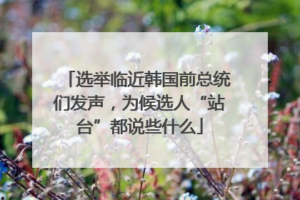 选举临近韩国前总统们发声，为候选人“站台”都说些什么