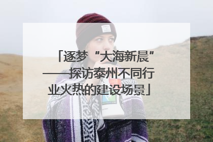 逐梦“大海新晨”——探访泰州不同行业火热的建设场景