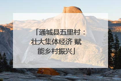 通城县五里村：壮大集体经济 赋能乡村振兴
